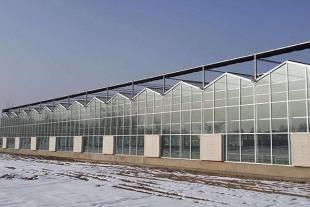 山东智能玻璃温室建造厂