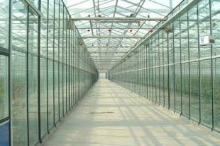 山东智能玻璃温室建造