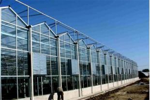 玻璃温室建造价格