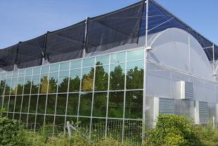 阳光板连栋温室设计厂家