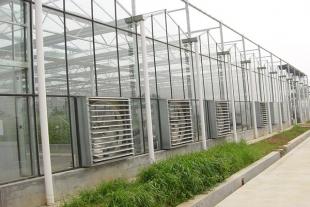 纹洛玻璃温室建造