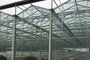 纹洛玻璃温室厂家建造