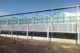 玻璃连栋温室建设
