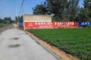 云浮农村刷墙广告 广州市墙体工笔画广告