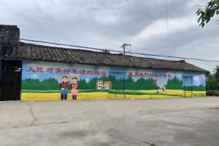 襄樊墙绘文化墙，襄樊文化墙粉刷效果价格低