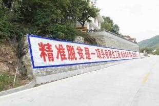 青海乡村标语素材青海农村墙体宣传标语报价