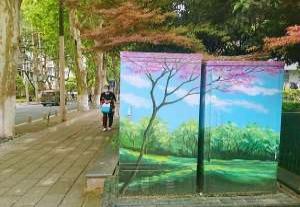 茂名墙体绘画售后,广东手绘墙