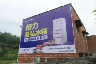 忻州乡镇墙体广告 忻州电器墙体广告 墙体喷绘广告