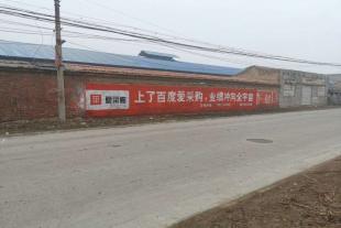 贵州墙体手绘广告宣传,贵州地产刷墙广告效果