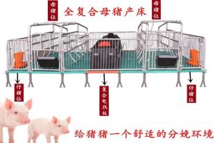 母猪产床双体产床塑料保温箱猪位70养猪设备
