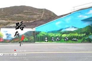 安徽南陵墙上广告公司 农村刷墙广告 文化墙绘