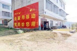 河北邯郸县墙体喷绘,商场墙体广告,乡下墙体广告
