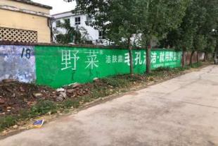河北肥乡县涂料墙体广告,建材墙体广告,墙体广告位