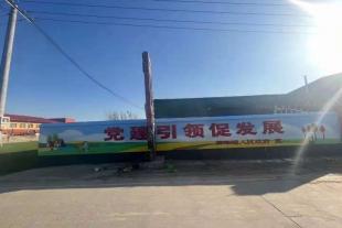 寿县农村刷墙广告,安徽手工墙体彩绘,2022新设计