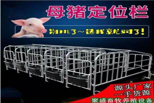 母猪限位栏落地限位栏猪位70养猪设备