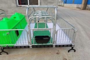 母猪产床单体产床塑料保温箱养猪设备厂家出售