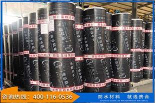 聚氯乙烯PVC防水卷材生产厂家