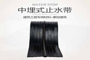 橡胶止水带钢边钢板中埋式背贴式橡胶止水带