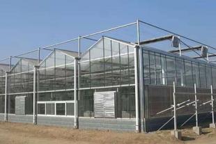 山东玻璃温室建设