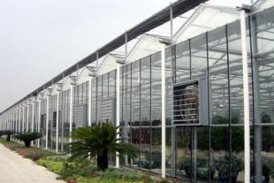 潍坊玻璃温室建造费用