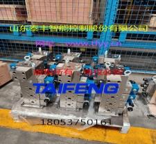 供应泰丰YN32-100FXCV型插装阀标准100T系统