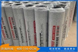 聚氯乙烯PVC防水卷材生产厂家