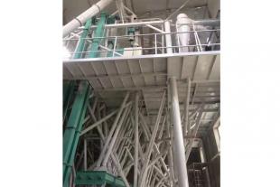 济宁日产量60吨的面粉机供应