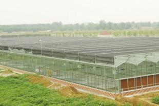 潍坊玻璃温室建设