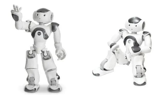 科幻成真，未来已来！“2024上海智能机器人展会”大赏前瞻